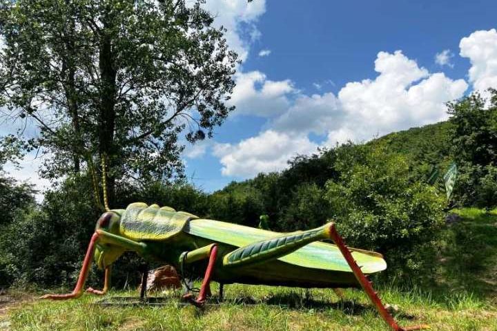 ”Insect Park” Odorheiu Secuiesc se deschide în cel mult 2 săptămâni