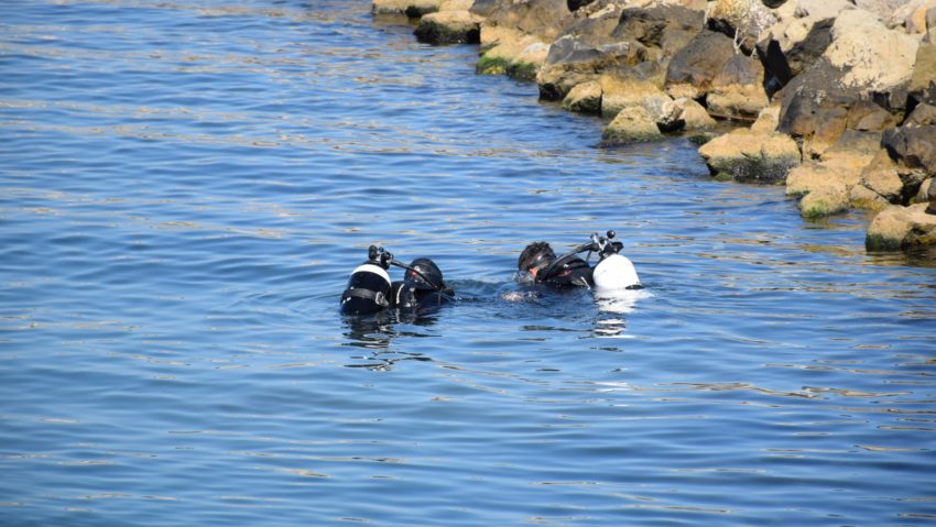 Statul Major al Forţelor Navale, după verificarea spaţiului maritim: Nu au fost identificate mine marine aflate în derivă