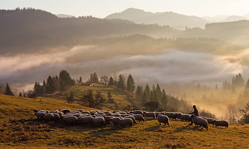 Vâlcea, în top 10 cele mai vizitate județe din țară