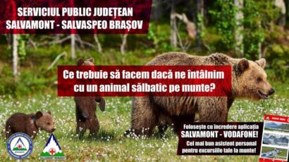 Sfaturi care ne pot salva viața dacă întâlnim un animal sălbatic pe munte