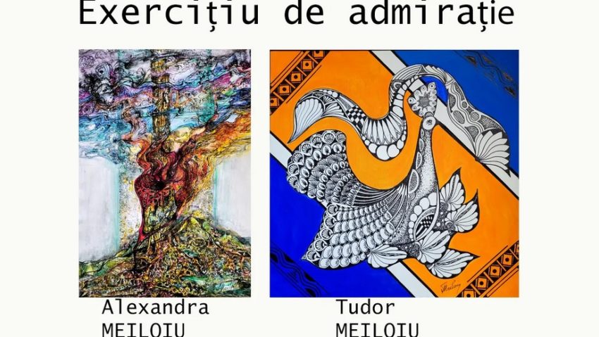 VÂLCEA: Vernisajul expoziției de pictură „Exercițiu de admirație”