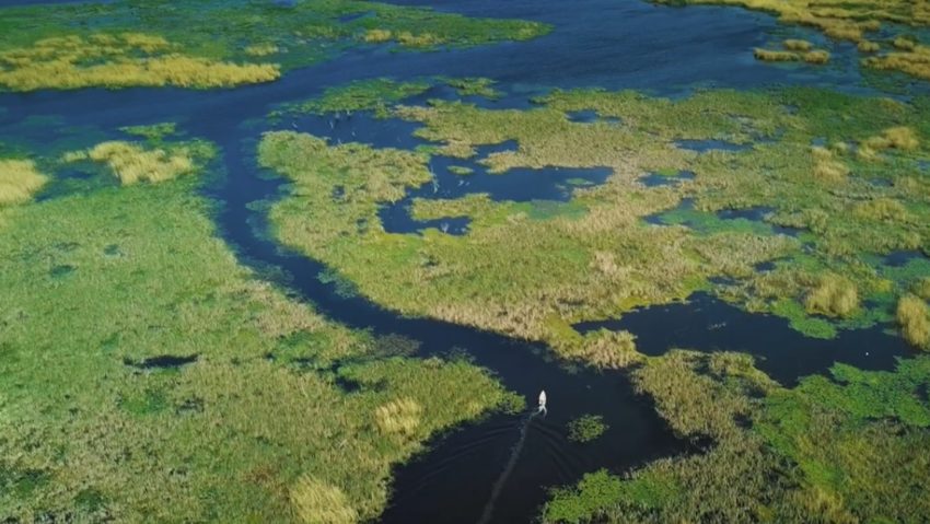 România spectaculoasă: Delta Dunării