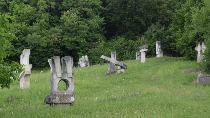 BUZĂU: Evenimente din cadrul Tabărei de Sculptură Măgura, anulate după apariția unui urs