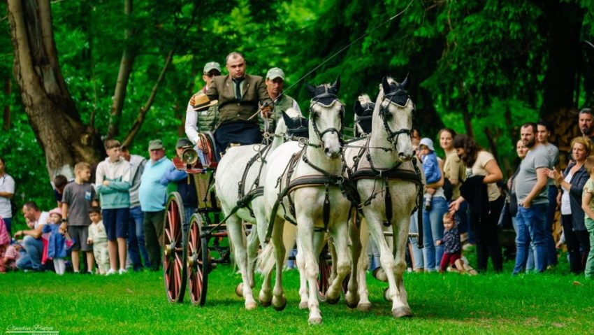 Show ecvestru la herghelia de la Sâmbăta de Jos