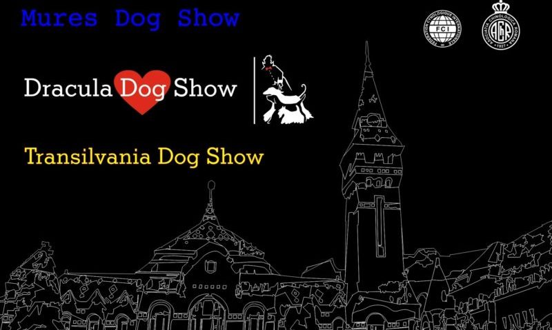 Expoziții canine la Târgu Mureș