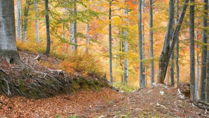 O nouă broșură despre siturile UNESCO din Parcul Național Domogled-Valea Cernei