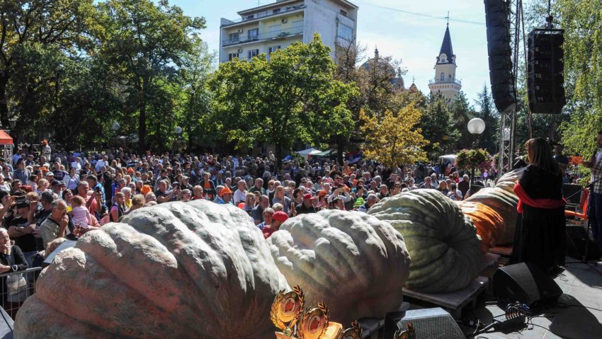 Festivalul dovleacului de la Kikinda, la final de săptămână