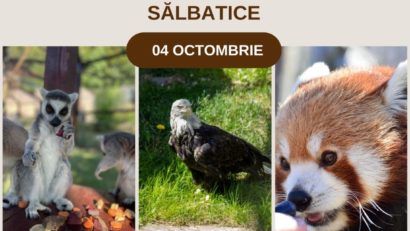 Ziua Mondială a Animalelor va fi marcată la Grădina Zoologică din Brașov