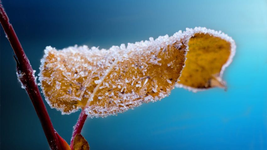 HARGHITA: Minus 7,6 grade la Miercurea-Ciuc, minima termică a dimineții de vineri