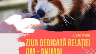 Eveniment special, vineri, la Zoo Brașov