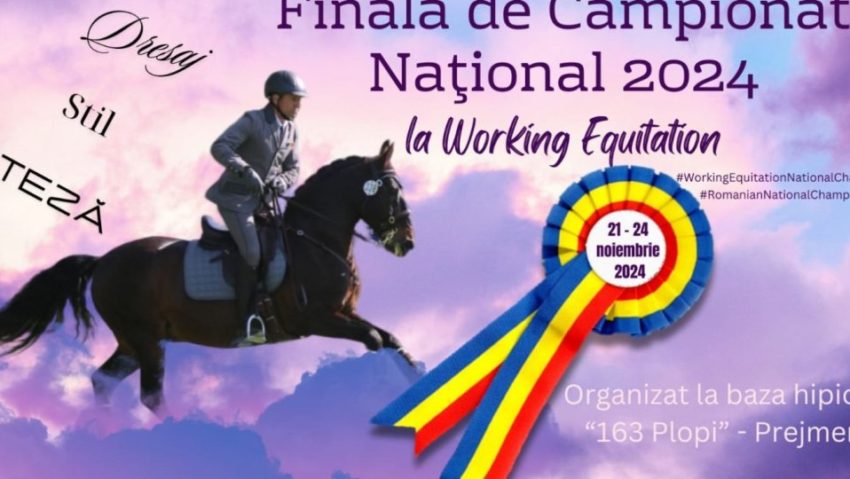 BRAȘOV: Finala Campionatului Național de Working Equitation va avea loc la Prejmer