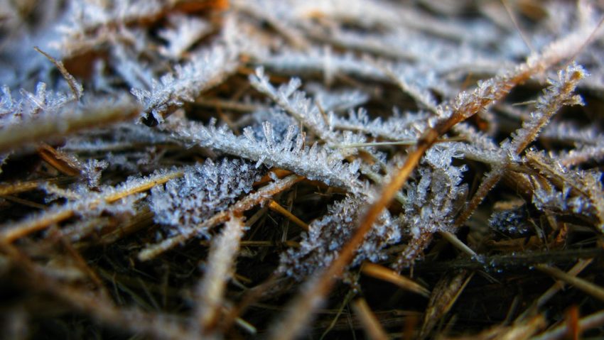 Prognoza meteo pentru duminică, ziua primului tur de scrutin prezidențial