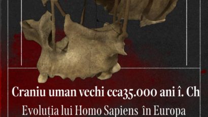 Craniul de Homo Sapiens din Peștera Muierii, o comoară preistorică