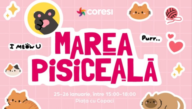 „Marea pisiceală”, la Brașov