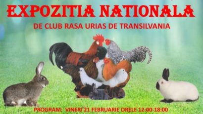 Expoziție de păsări și animale de rasă, la Râșnov